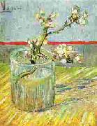 Vincent Van Gogh Blooming Almond Stem in a Glass oil painting artist